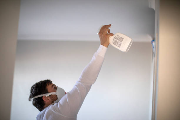 Best Emergency Mold Removal  in Rochester, MN