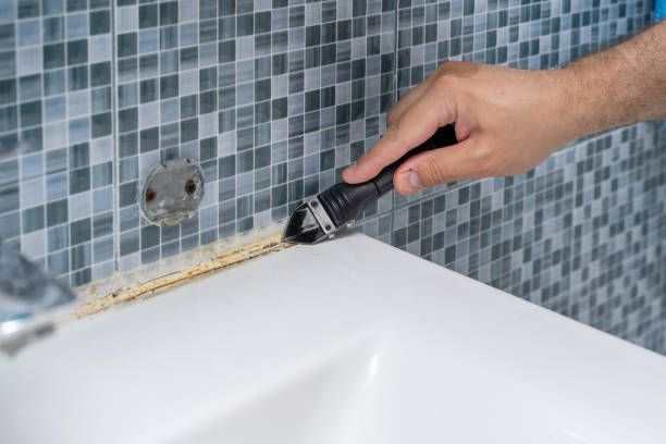 Best Mold Testing  in Rochester, MN