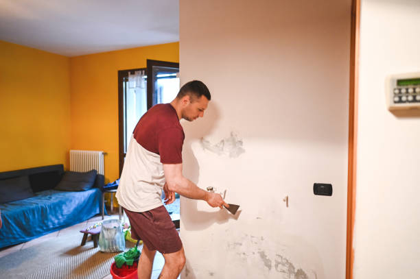 Best Home Mold Removal  in Rochester, MN